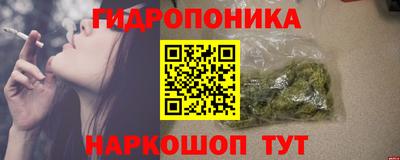 амф Обь