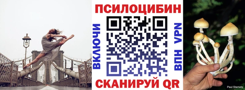 Псилоцибиновые грибы мицелий Сокол