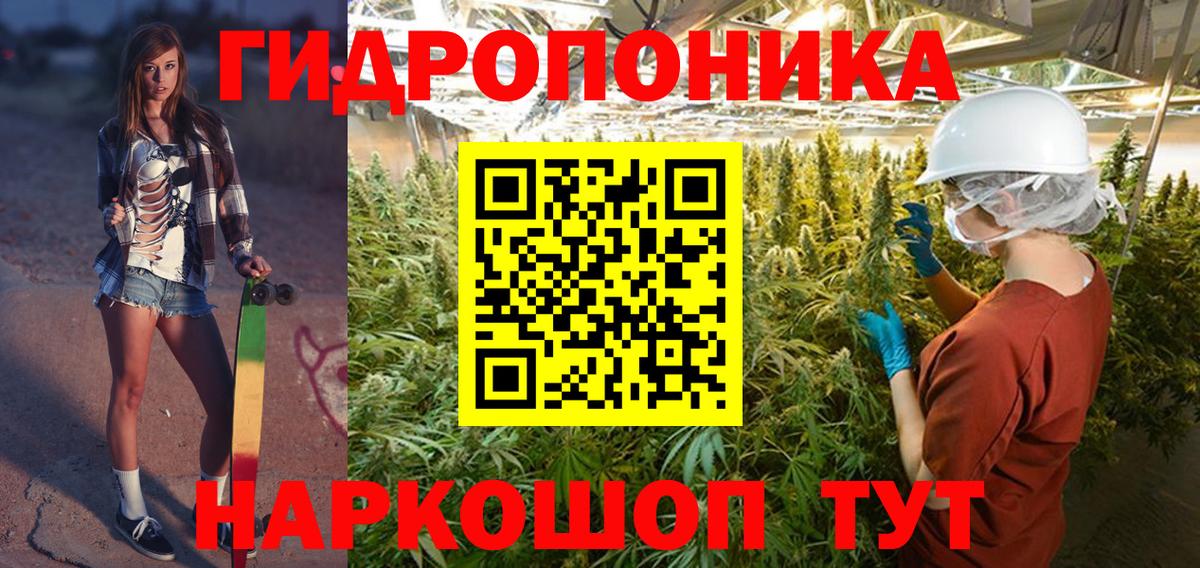 Бошки Шишки SATIVA & INDICA  Шишки марихуана AK-47  Вход с VPN  Бошки Шишки VHQ  Сокол 